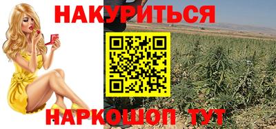 индика Малгобек