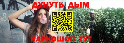 индика Малгобек