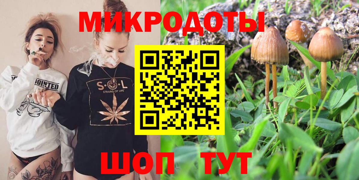 Псилоцибиновые грибы GOLDEN TEACHER  Вход с VPN  Чита  Псилоцибиновые грибы мицелий 