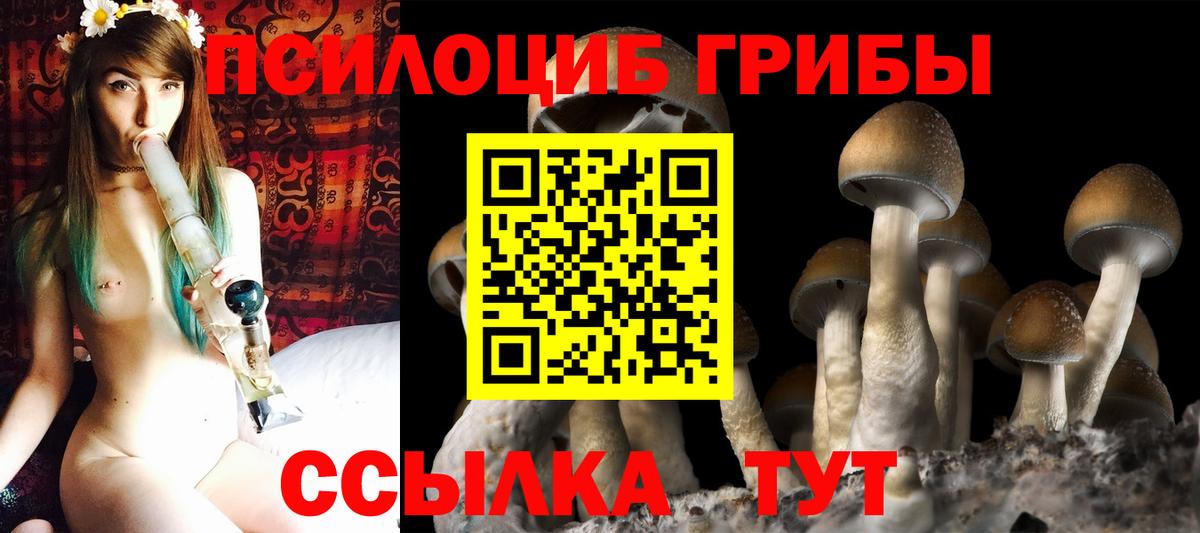 Галлюциногенные грибы Cubensis Чита